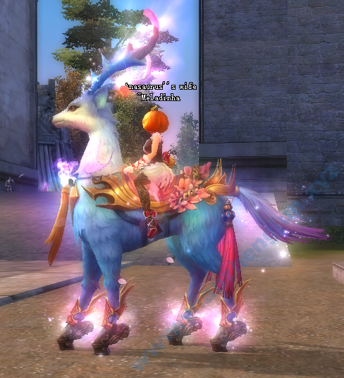 图片[28]|[六职业]The Classic PW-巴西服（2021年11月）|中国远征军网游公会官网|完美外服中国远征军|远征军公会